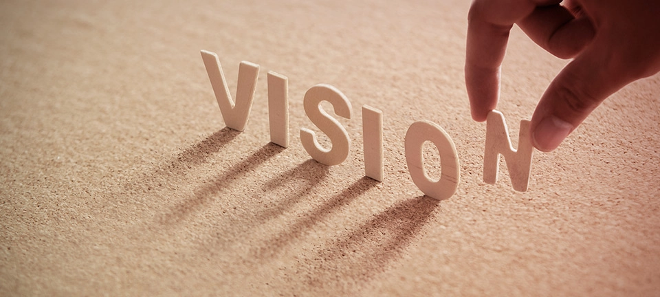 vision